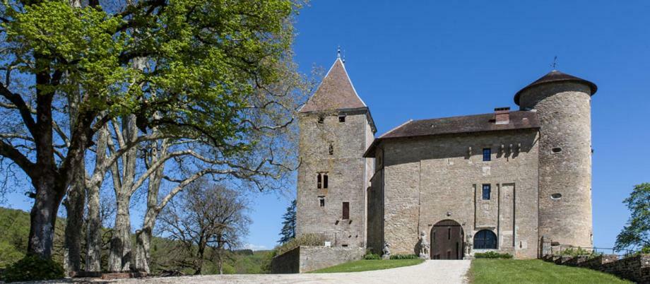 Chateau De Marigna Hotell Exteriör bild
